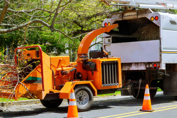 Best Commercial Tree Services  in Eleanor, WV