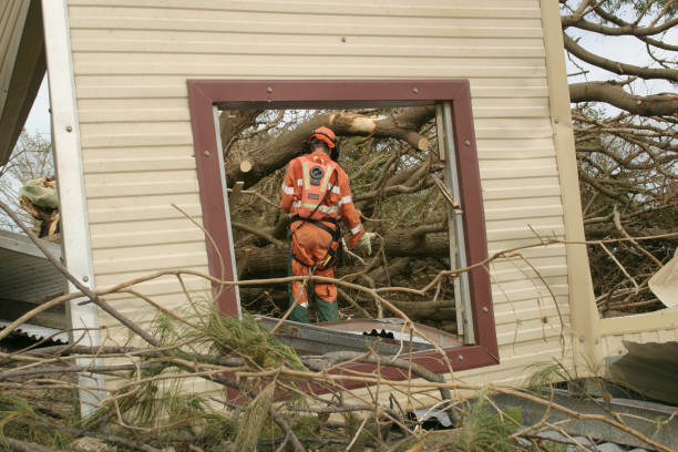Best Tree Disease Treatment  in Eleanor, WV